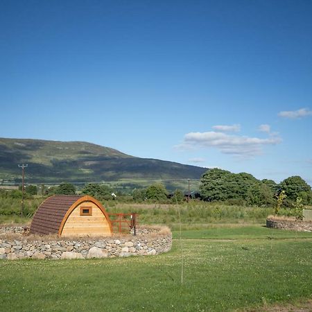 Отель Bluebell Lane Glamping Ньюри Экстерьер фото